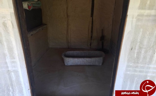 محل زندگی یانگوم کجاست؟+ تصاویر