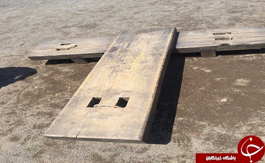 محل زندگی یانگوم کجاست؟+ تصاویر
