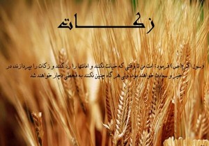 جمع آوری بیش از۲ میلیارد ریال زکات در شهرستان بشرویه