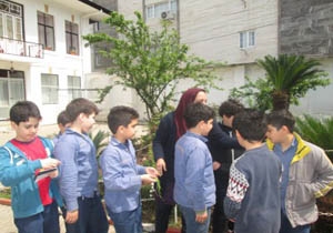 فراگیری علوم درسی از باغچه