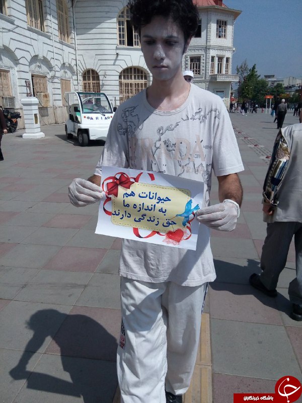 آغاز بکار جشنواره بین المللی فیلم سبز در رشت+تصاویر