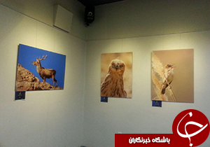 ایران زیبای فراموش شده
