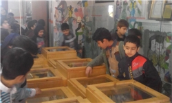 مدارس همدان میزبان برگزاری کارگاه آموزشی میراث فرهنگی مدارس همدان میزبان برگزاری کارگاه آموزشی میراث فرهنگی