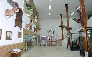 بزودی؛ احداث موزه تاریخ در دزفول