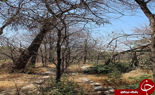 بلایی که سر خانه &laquo;بزرگ آقا&raquo; آمده + تصاویر