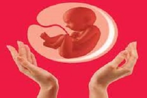 کاهش  رشد جمعیت به زیر 2 درصد رسید/ ثبت نام 600 زوج نابارور در کمپین خانواده
