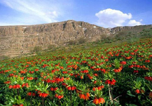 پیش بینی افزایش نسبی دمای هوا در چهارمحال و بختیاری