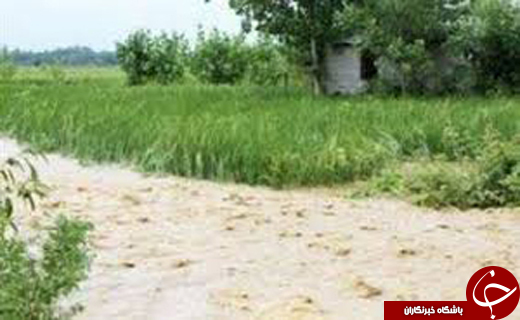 از مرگ مشکوک کودک دو ساله تا بخشش پای چوبه دار