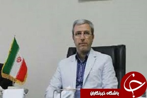 قارداشی: تعدیل نیرو در فدراسیون به دستور وزارت بود