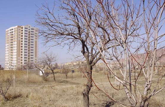 حکایت ثروتمندان پایتخت که ریشه می&zwnj;خشکانند تا برج بسازند