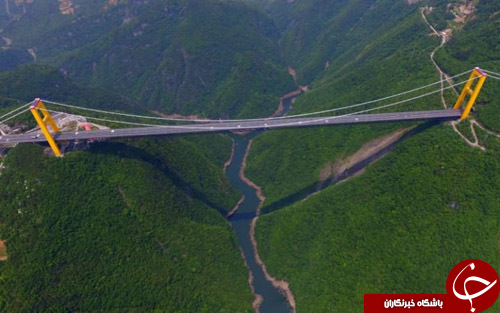 ازقهرمانی تیم فوتبال یوونتوس تا تلاش یک اسب برای بلعیدن کلاه ملکه انگلیس