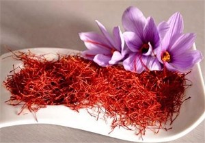 خراسان جنوبی رتبه برتر در تولید زعفران با کیفیت