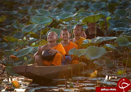 بچگی کردن در همه دنیا شکل یکسانی دارد+عکس