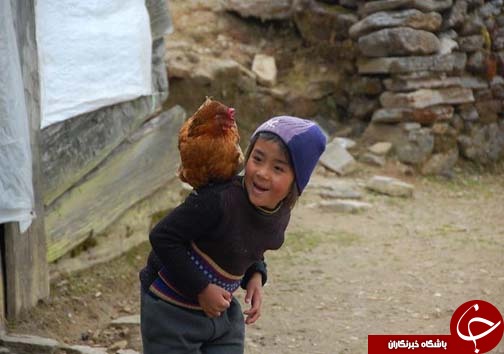 بچگی کردن در همه دنیا شکل یکسانی دارد+عکس