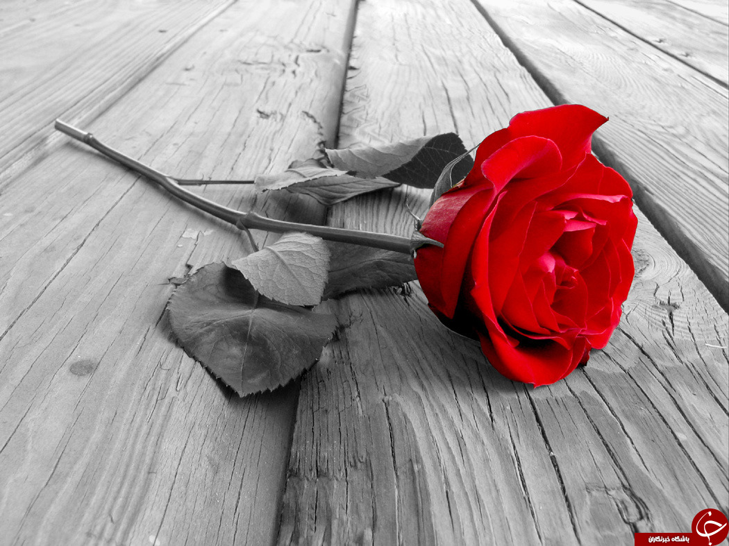 برای عشقتان خودکشی نکنید