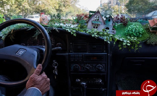 درد دل&zwnj;های &laquo;تاکسی جنگلی&raquo; +تصاویر