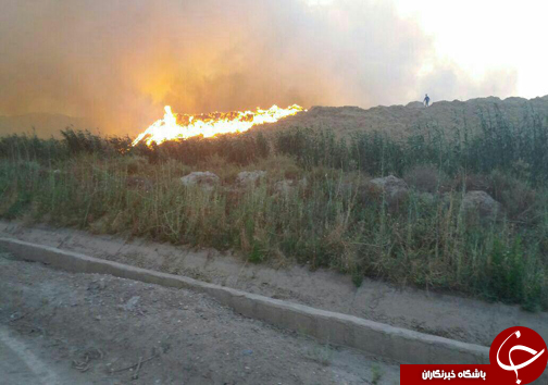 آتش سوزی گسترده در شرکت کاغذ پارس هفت تپه