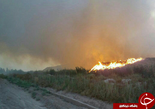 آتش سوزی گسترده در شرکت کاغذ پارس هفت تپه