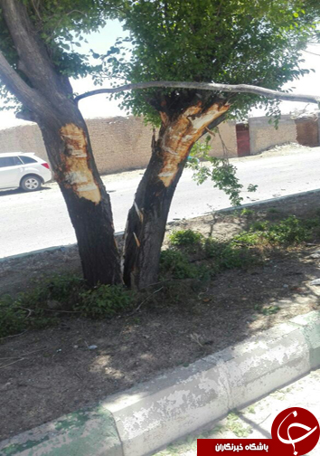 تصادف خودروی پراید با یک دستگاه سمند + تصاویر