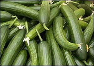 تولید  انواع محصولات گلخانه ای در قم