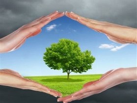 ايجاد شعبه ويژه رسيدگي به جرائم منابع طبيعي در شادگان