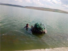کشف بیش از2500تور دام از تالاب سلدوز شهرستان نقده