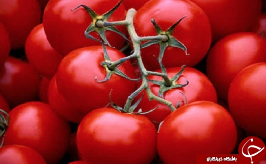 جای این مواد غذایی در یخچال نیست+ تصاویر