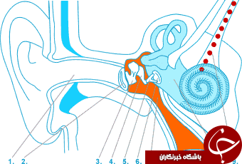 امواج صدا را از نزدیک ببینید + فیلم