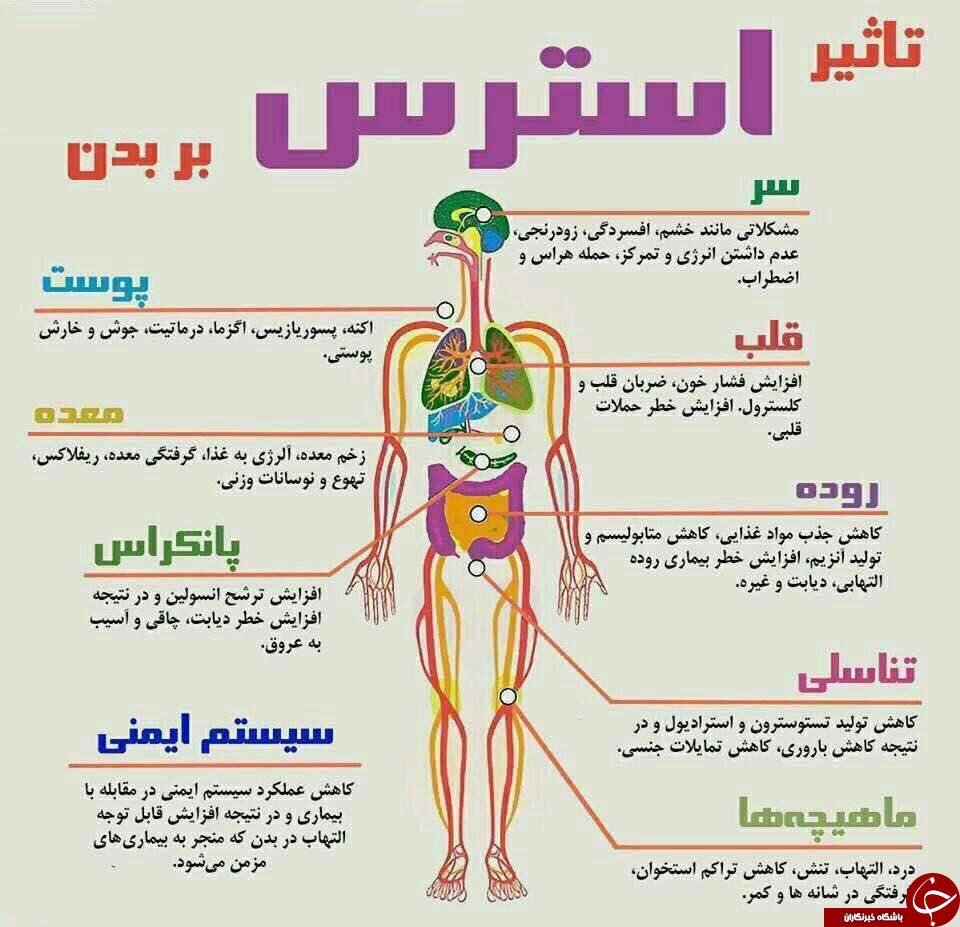 استرس چه بر سر بدن ما می آورد + عکس