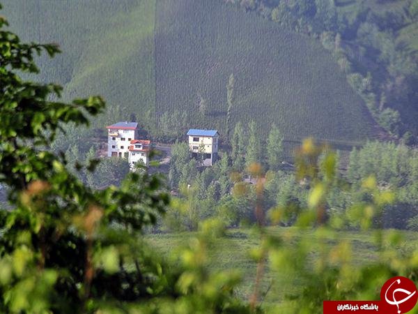 &laquo;ویلا&raquo; به جای &laquo;برنج&raquo; و &laquo;چای&raquo; سبز می&zwnj;شود/انتشار جدول درآمد سالانه