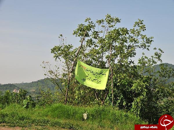 &laquo;ویلا&raquo; به جای &laquo;برنج&raquo; و &laquo;چای&raquo; سبز می&zwnj;شود/انتشار جدول درآمد سالانه