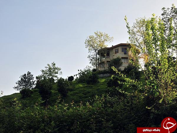 &laquo;ویلا&raquo; به جای &laquo;برنج&raquo; و &laquo;چای&raquo; سبز می&zwnj;شود/انتشار جدول درآمد سالانه