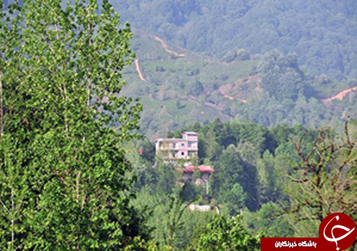 &laquo;ویلا&raquo; به جای &laquo;برنج&raquo; و &laquo;چای&raquo; سبز می&zwnj;شود/انتشار جدول درآمد سالانه