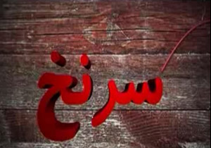 از ماجرای مشکلات ريز و درشت دامداران تا یک راه حل مناسب برای آن + فیلم
