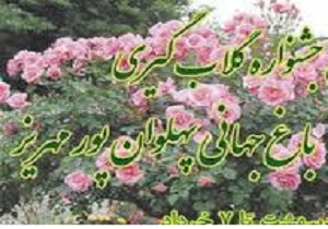 آیین هزارساله گلابگیری در باغ پهلوان پور مهریز