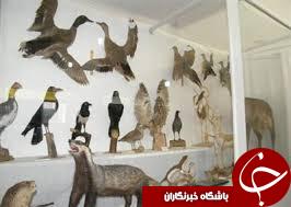 موزه،جلوه گر تاريخ+تصویر
