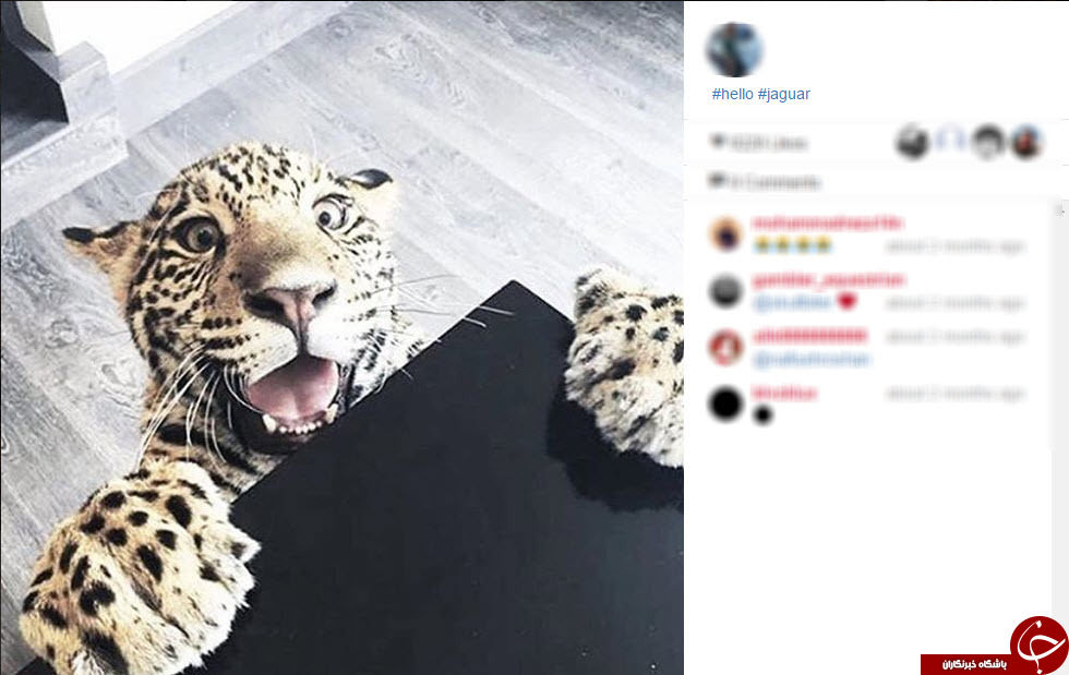 زندگی لوکس بچه پولدار ها در اینستاگرام + تصاویر
