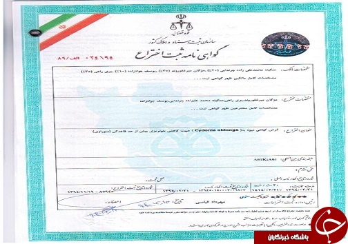 اختراع دارویی