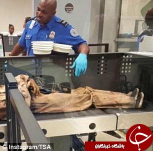 عبور جسد از x_ray فرودگاه+تصاویر