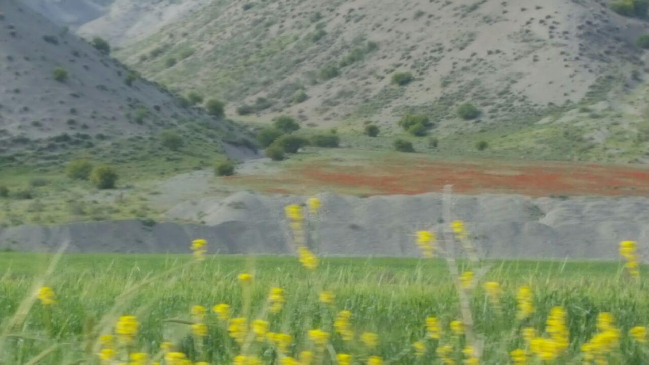 طبیعت چش&zwj;م&zwnj;نواز روستای سنجد + تصاویر