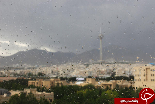 بارش باران چند درجه از تب تهران کم کرد + تصاویر