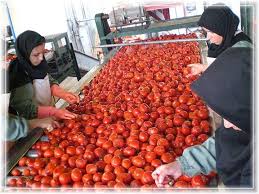 دو کارخانه رب گوجه فرنگی و آب&zwnj;میوه گیری قلعه گنج امروز به بهره برداری رسیدند.