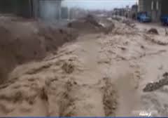 امدادرسانی به شادگانی در سیل اخیر