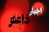 از خودکشی داعشی سرکش تا فرار از درنه و عقب نشینی از ضمیر