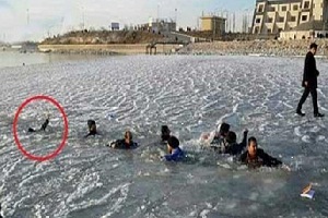 این قدر سلفی بگیر تا بمیری!