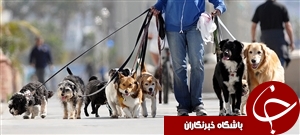 از پولدار شدن در صف بانک تا سوسک&zwnj;هایی که 100 هزار تومان قیمت دارند+تصاویر