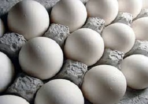 معدوم سازی بیش از 9 تن تخم مرغ فاسد