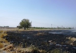 ممنوعیت سوزاندن بقایای گیاهی در مراتع