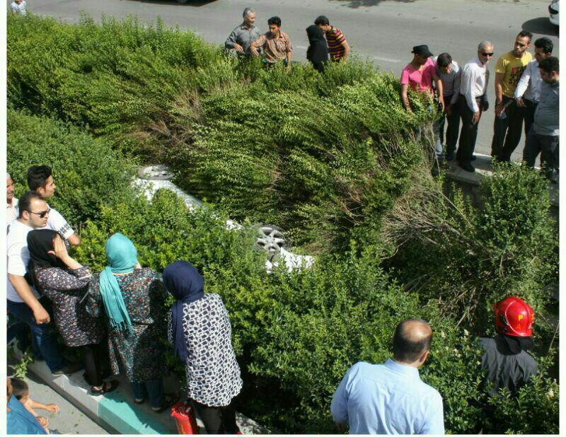 واژگونی خودرو جیلی به داخل کانال آب