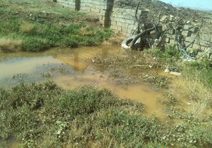 آلودگی به علت ورود فاضلاب در روستای خیج + فیلم